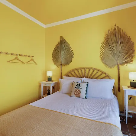 Pineapple Διαμέρισμα Aljezur