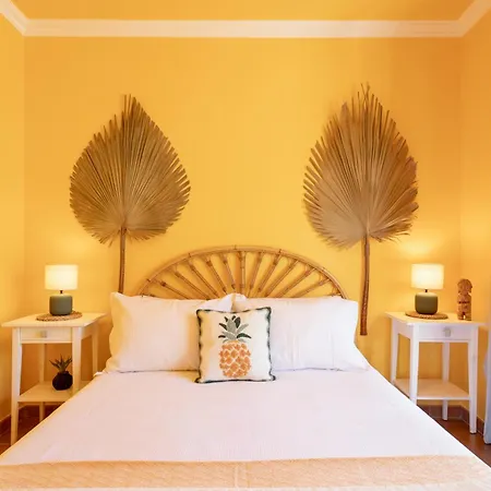 Διαμέρισμα Pineapple